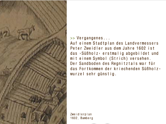 Detail Süßholzanbau in Bamberg