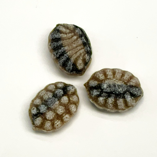 Liquorice candy filled with caramel, swedish